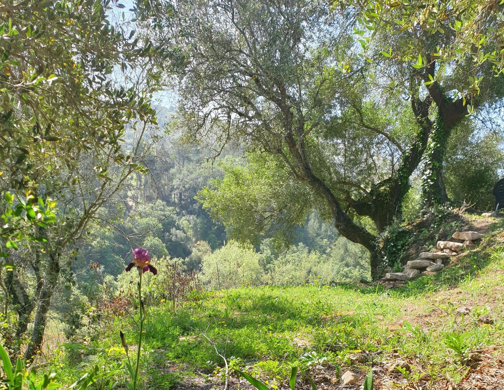 Casa Das Janelinhas - Cottage Near Sintra, Mafra, Ericeira מראה חיצוני תמונה